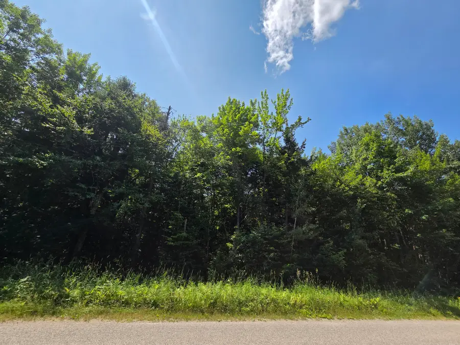 0 S Cottage Rd, Barbeau, MI 49710 - #2