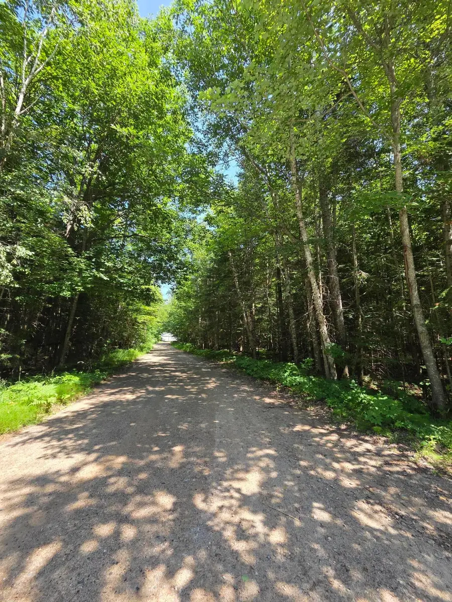 0 S Cottage Rd, Barbeau, MI 49710 - #3