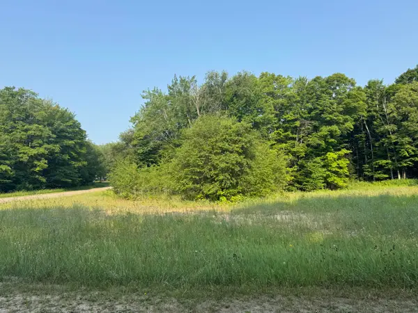 TBD Hollow Dr, McMillan, MI 49853