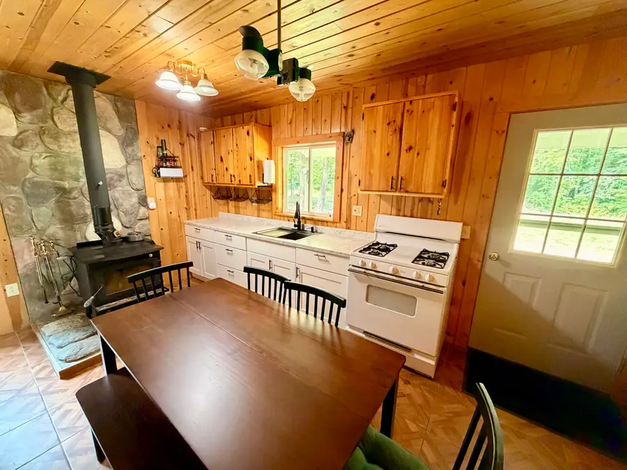 10167 S Chesbrough Lake Rd, Newberry, MI 49868 - #3