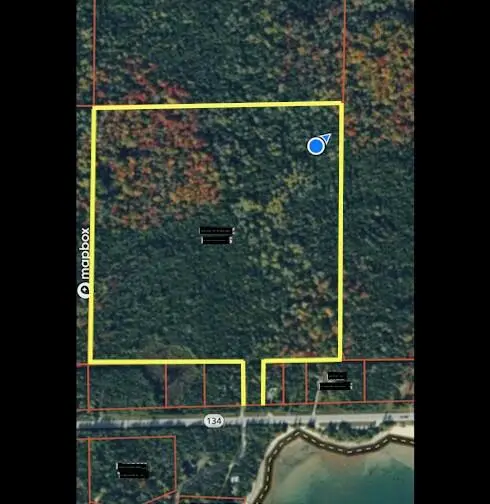 40 Acres E M-134, Detour, MI 49725 - #2