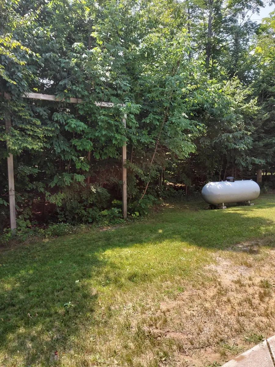 15538 W Sandtown Rd, Curtis, MI 49820 - #3