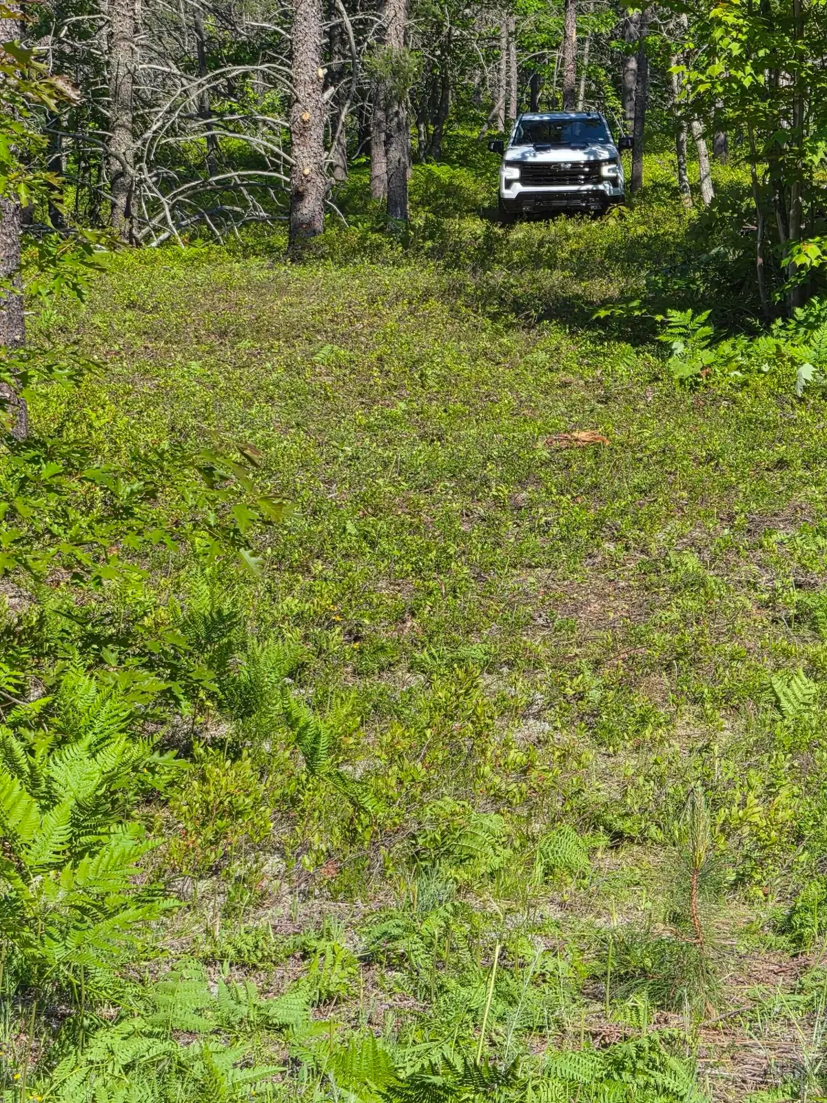 Andrus N Whitefish Point Rd, Paradise, MI 49768 - #1