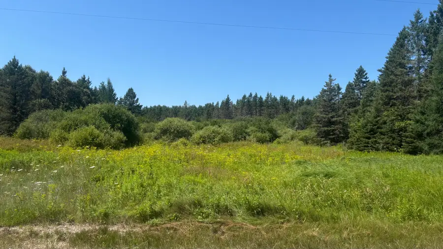 TBD Simmons Rd, Hessel, MI 49745 - #2