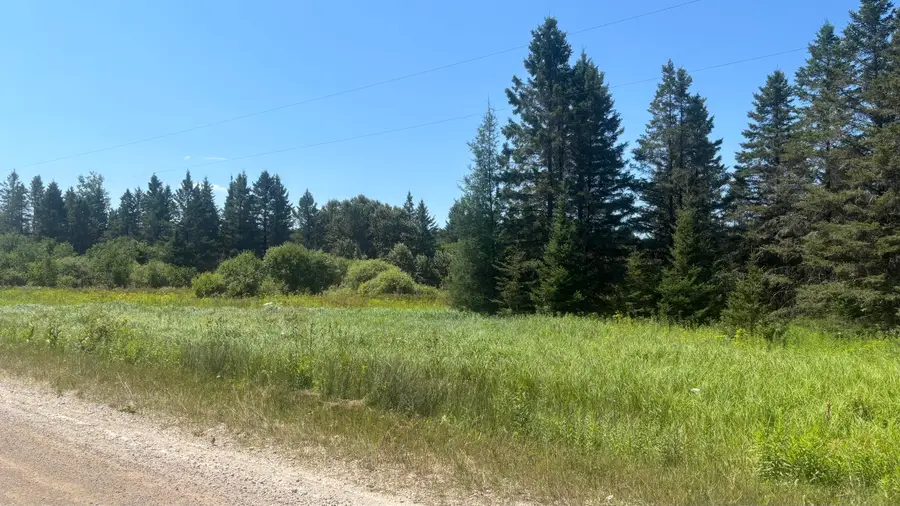 TBD Simmons Rd, Hessel, MI 49745 - #3