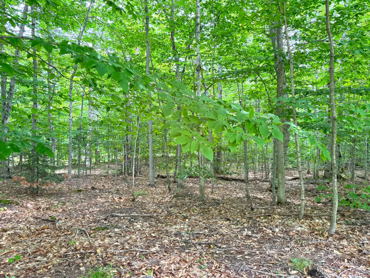 5353 M-123, Eckerman, MI 49728 - #1