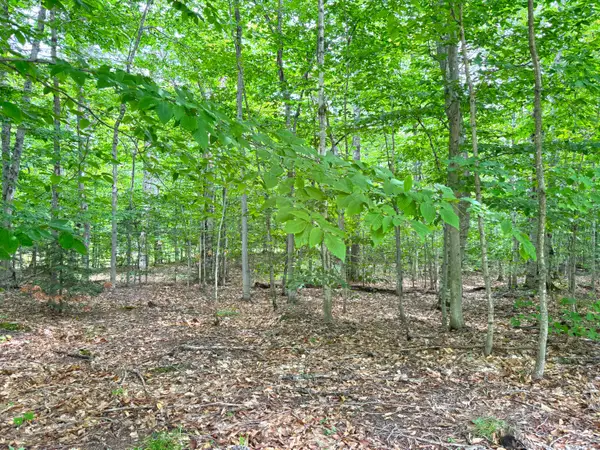 5353 M-123, Eckerman, MI 49728