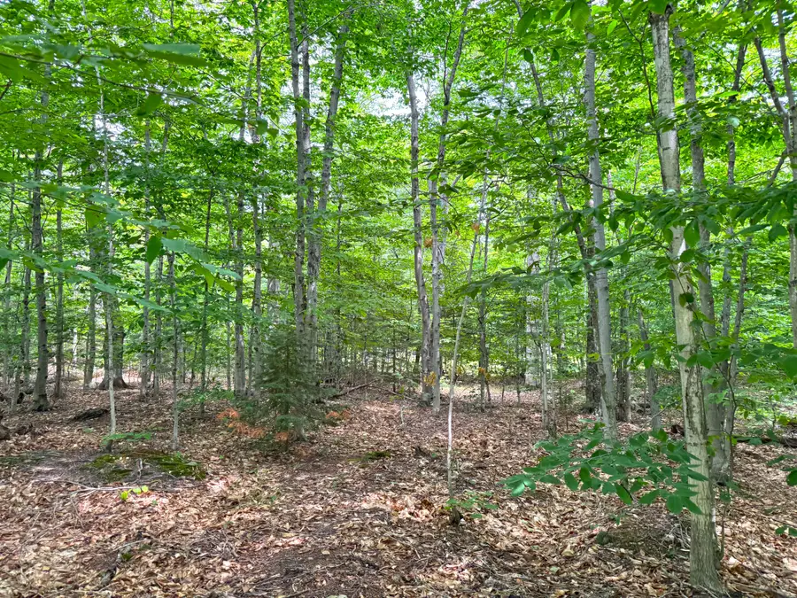 5353 M-123, Eckerman, MI 49728 - #2