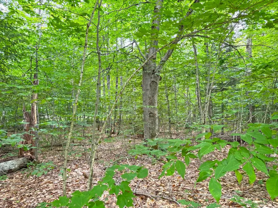 5353 M-123, Eckerman, MI 49728 - #3