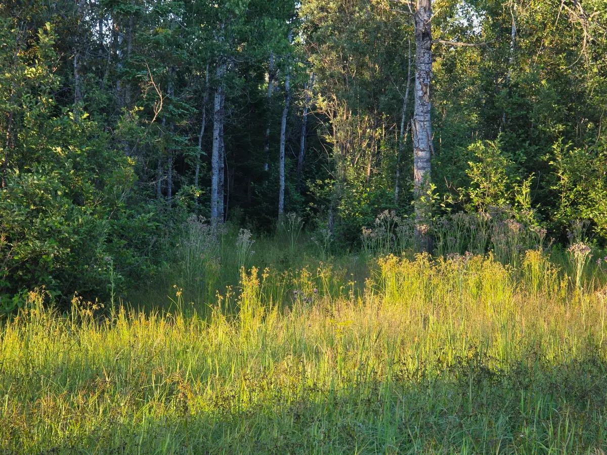 0 S Bound Rd, Rudyard, MI 49780 - #1
