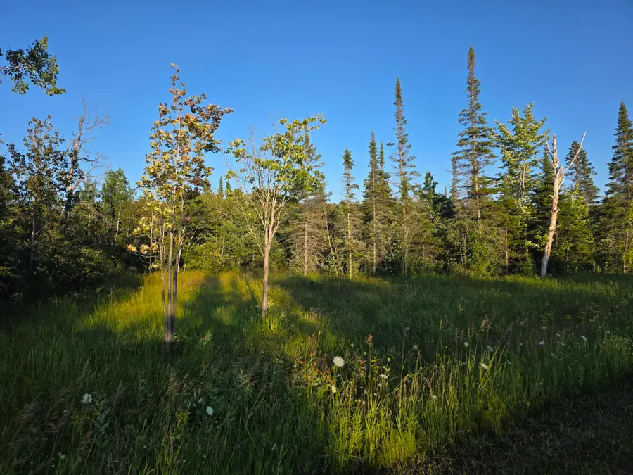 0 S Bound Rd, Rudyard, MI 49780 - #2