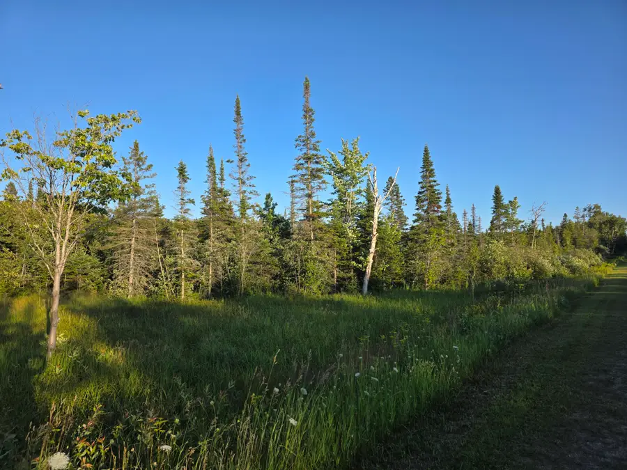 0 S Bound Rd, Rudyard, MI 49780 - #3
