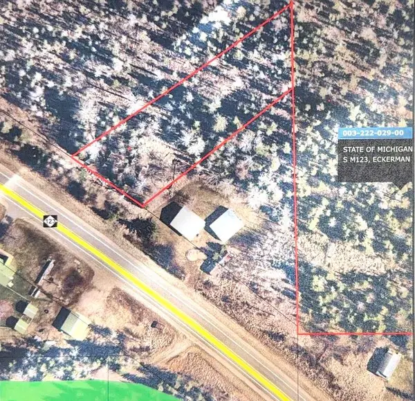 9563 S M123, Eckerman, MI 49728