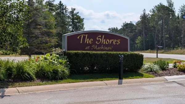 20532 Northern Lights Ln, Mackinaw City, MI 49701