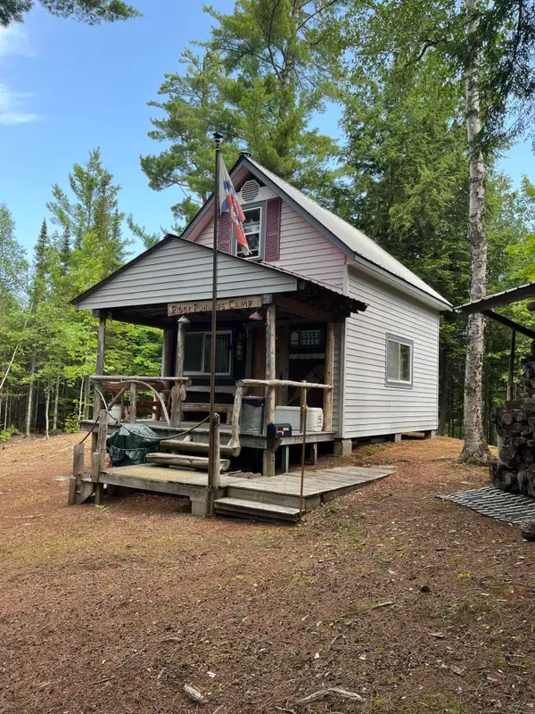 7542 Bone Lake Trl, Newberry, MI 49868