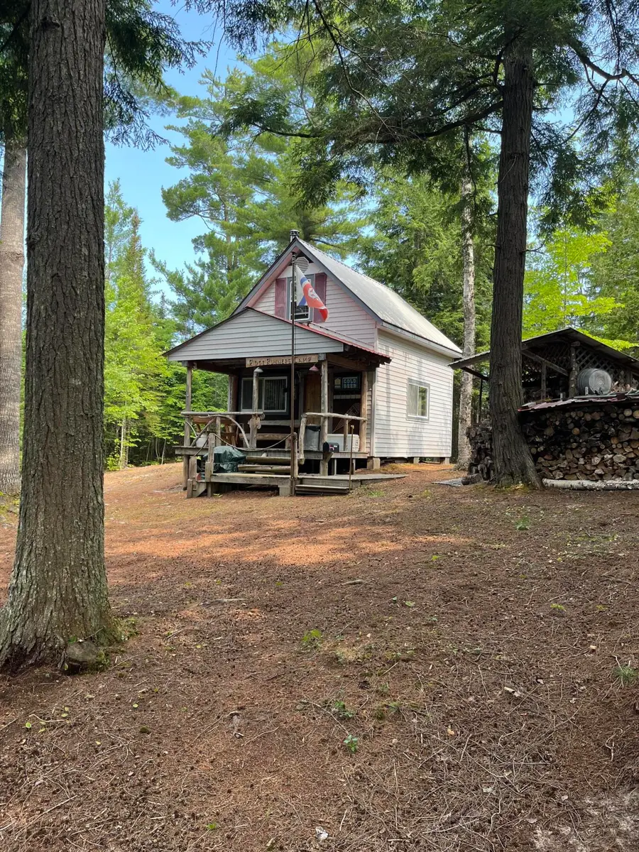 7542 Bone Lake Trl, Newberry, MI 49868 - #2