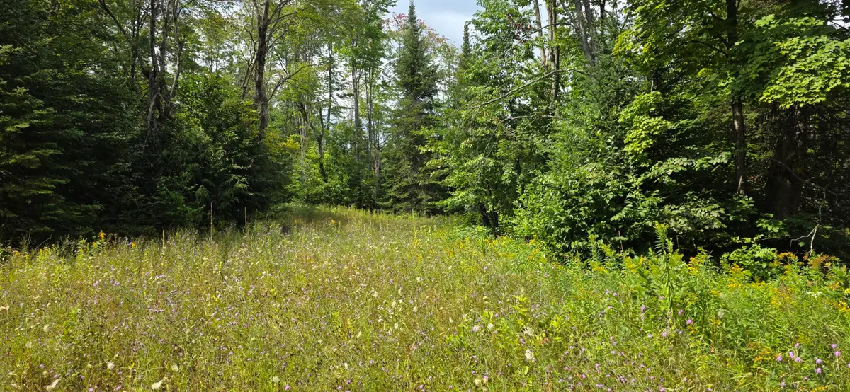 TBD Grass Lake Trl, Rudyard, MI 49780 - #1