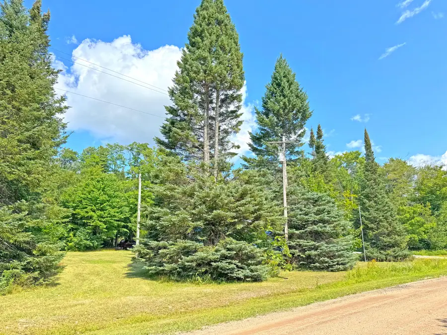 33418 W North Rd, Eckerman, MI 49728 - #3