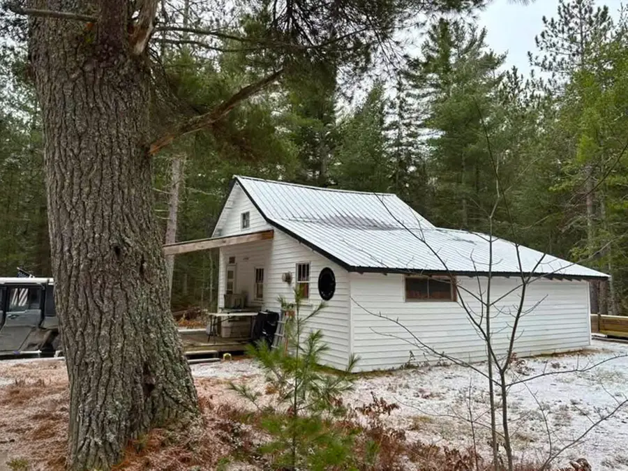 TBD Fs 3132, Trout Lake, MI 49793 - #2