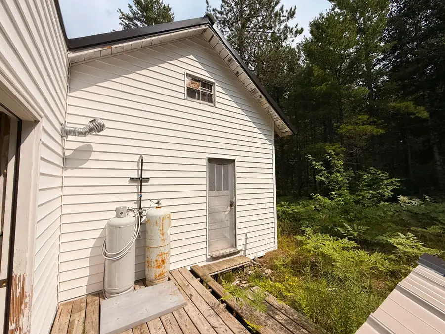 TBD Fs 3132, Trout Lake, MI 49793 - #3