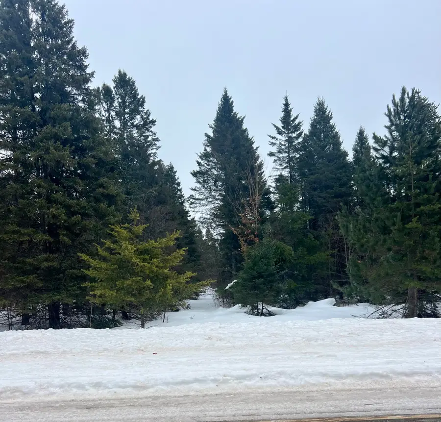 25709 S Fairview Rd, Pickford, MI 49774 - #2