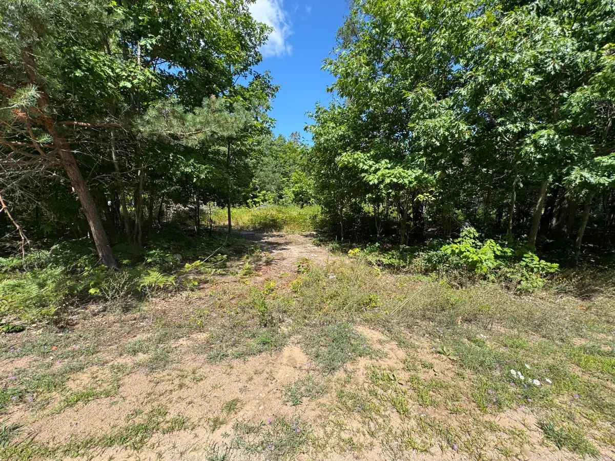 TBD Daisys Way, Kinross, MI 49752 - #1
