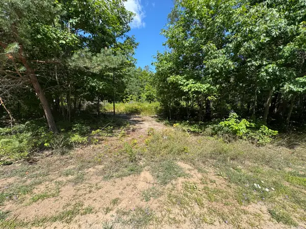 TBD Daisys Way, Kinross, MI 49752