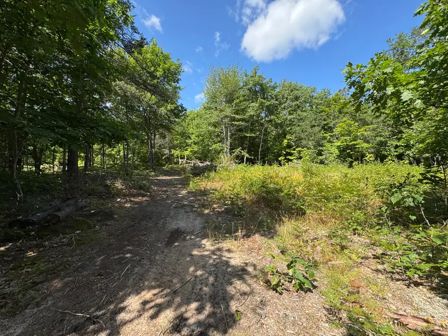 TBD Daisys Way, Kinross, MI 49752 - #3