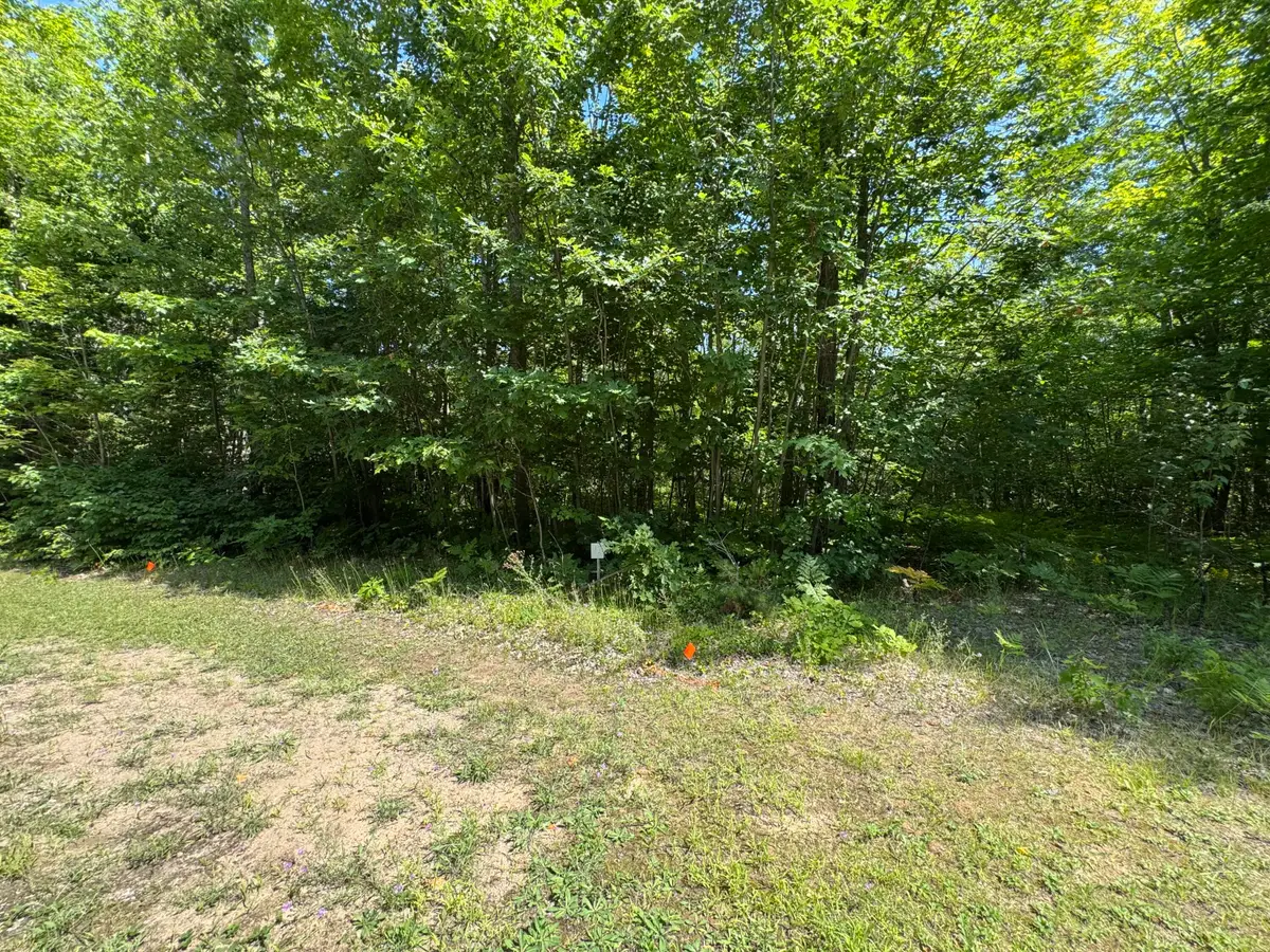 0 S Deer Run Rd, Kinross, MI 49752 - #1