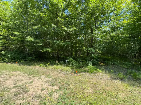 0 S Deer Run Rd, Kinross, MI 49752