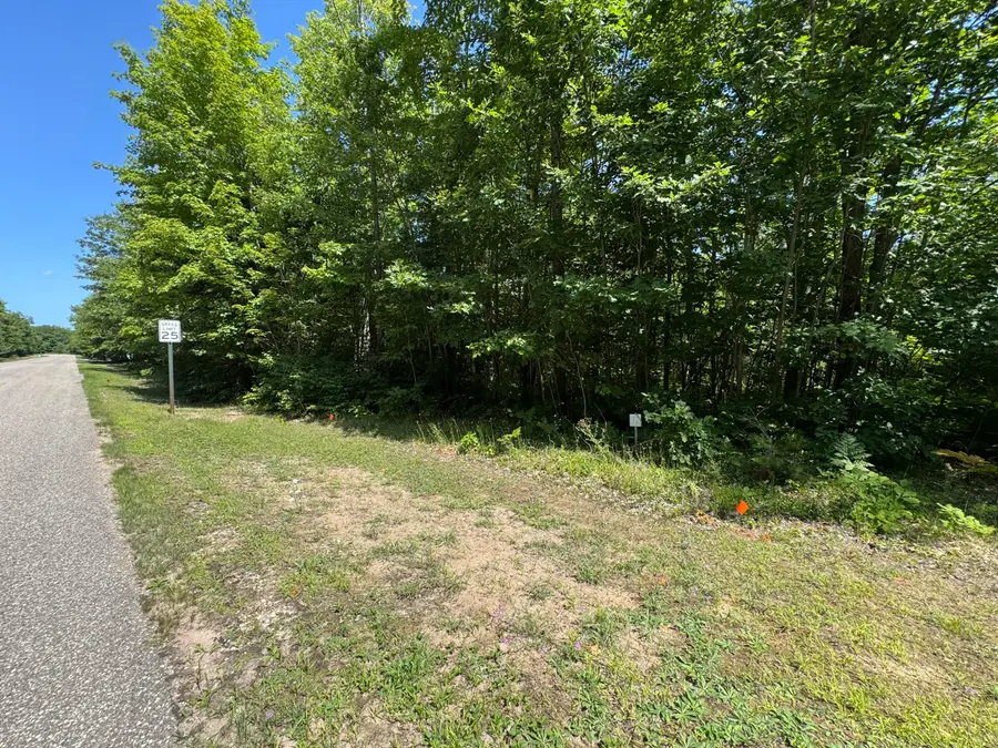 0 S Deer Run Rd, Kinross, MI 49752 - #2