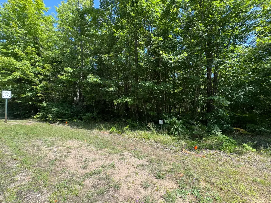 0 S Deer Run Rd, Kinross, MI 49752 - #3