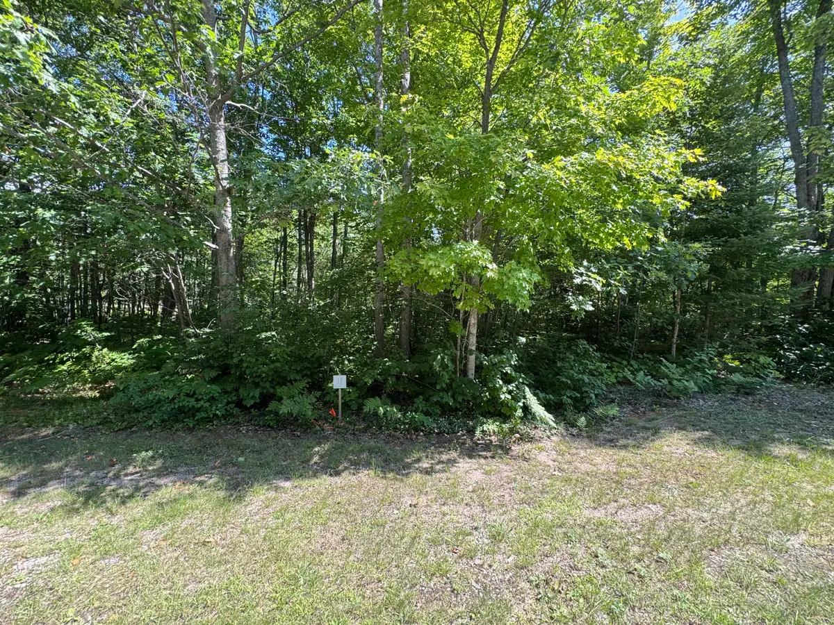 0 S Deer Run Rd, Kinross, MI 49752 - #1
