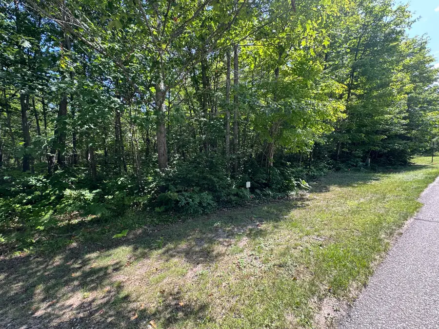 0 S Deer Run Rd, Kinross, MI 49752 - #2