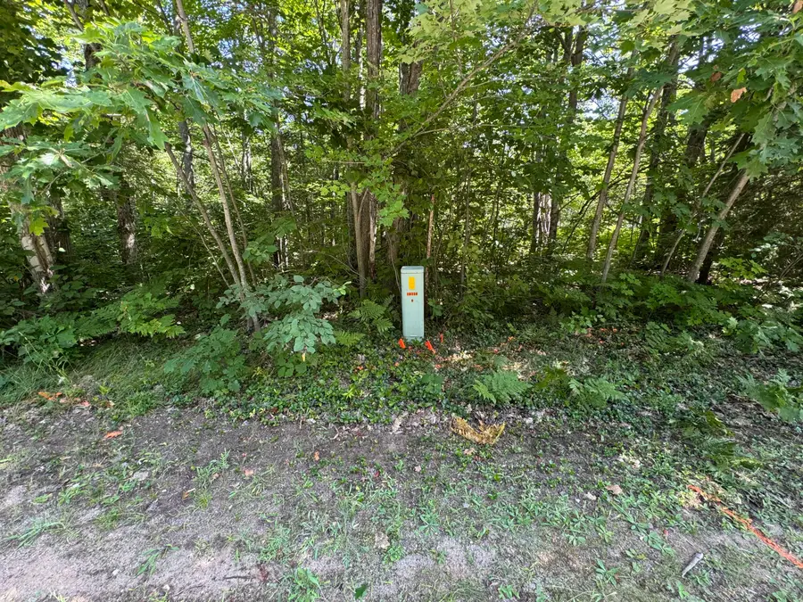 0 S Deer Run Rd, Kinross, MI 49752 - #3