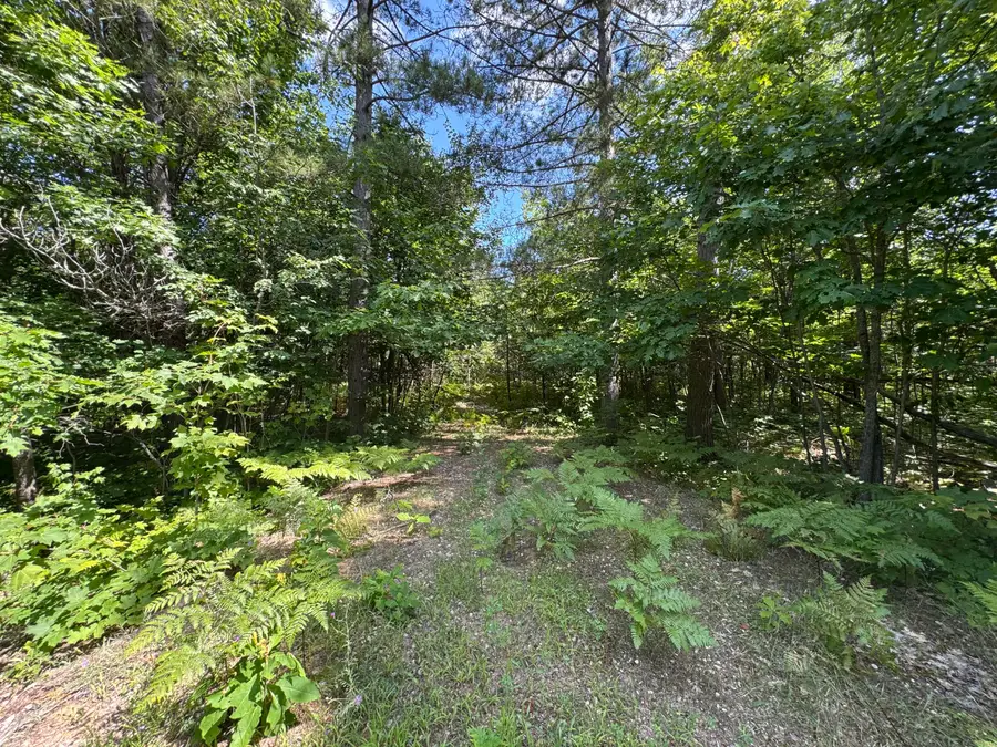 0 Deer Run Rd, Kinross, MI 49752 - #3