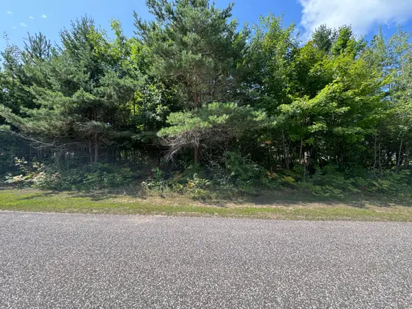 0 Daisys Way, Kinross, MI 49752
