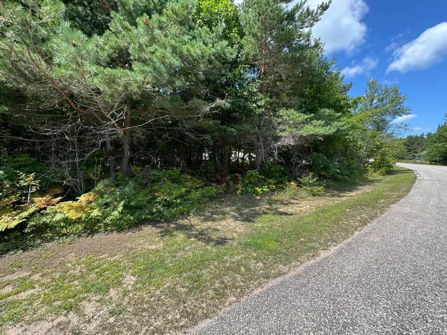 0 Daisys Way, Kinross, MI 49752 - #2