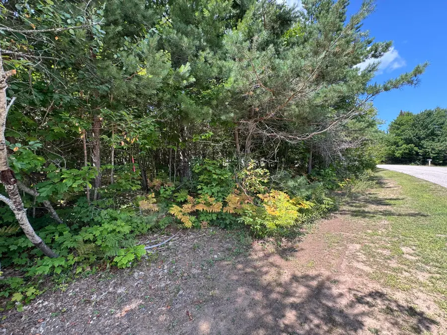0 Daisys Way, Kinross, MI 49752 - #3