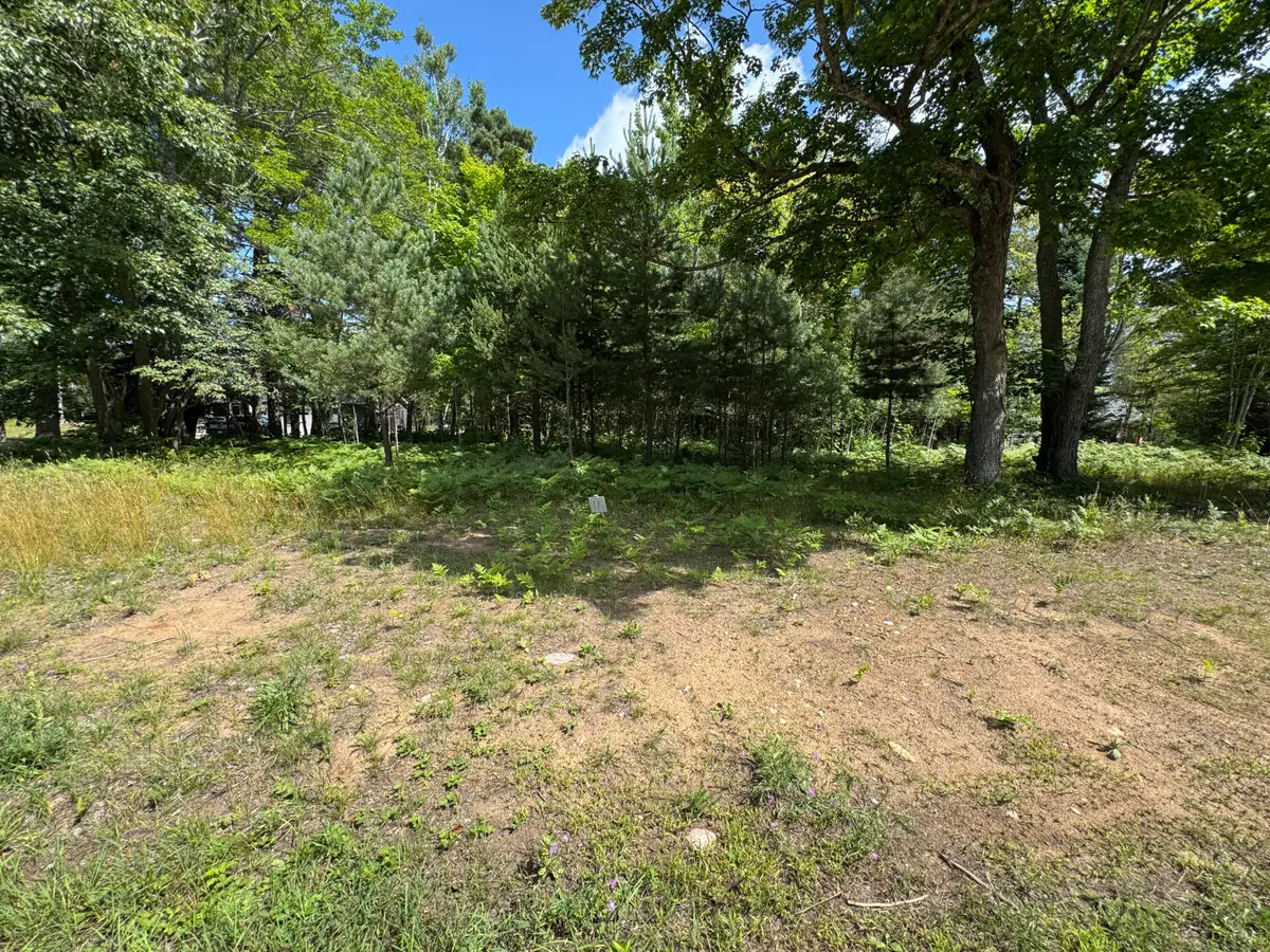 0 Daisys Way, Kinross, MI 49752 - #1