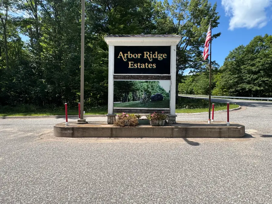 0 Daisys Way, Kinross, MI 49752 - #3