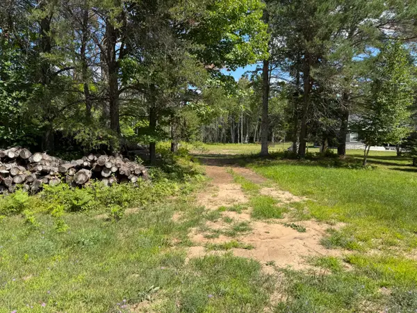 0 Daisys Way, Kinross, MI 49752