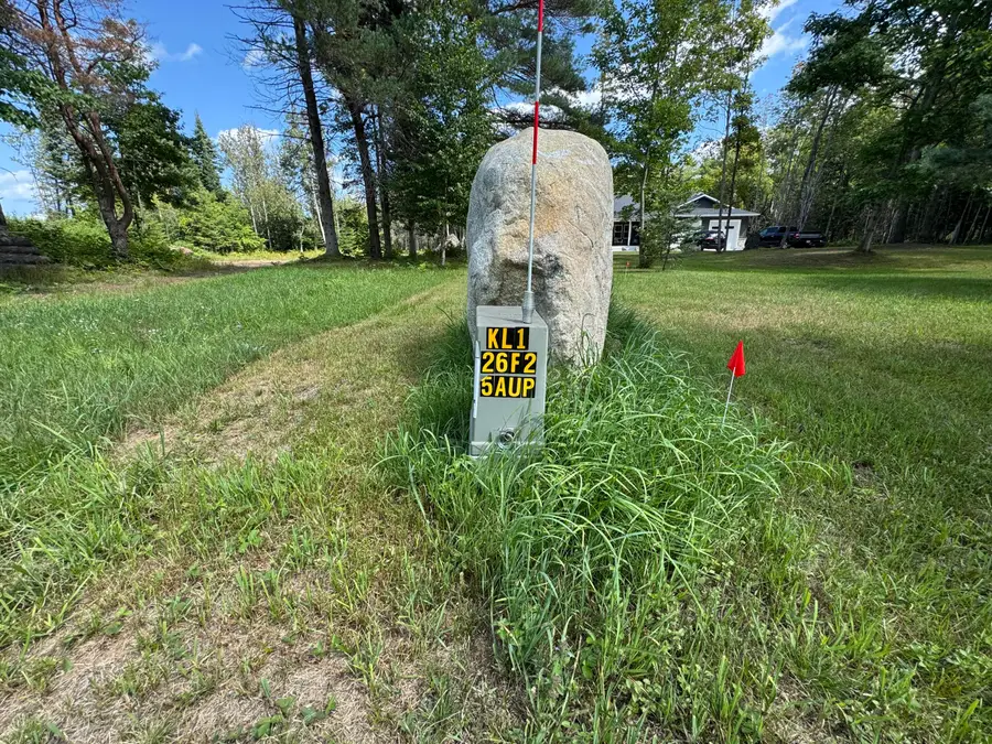 0 Daisys Way, Kinross, MI 49752 - #3