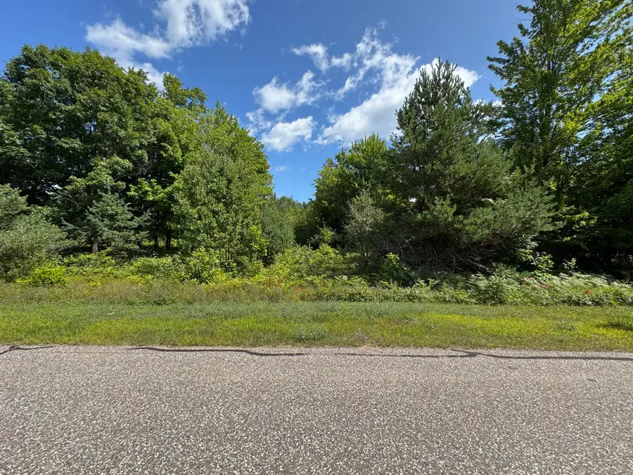 0 Daisys Way, Kinross, MI 49752 - #2