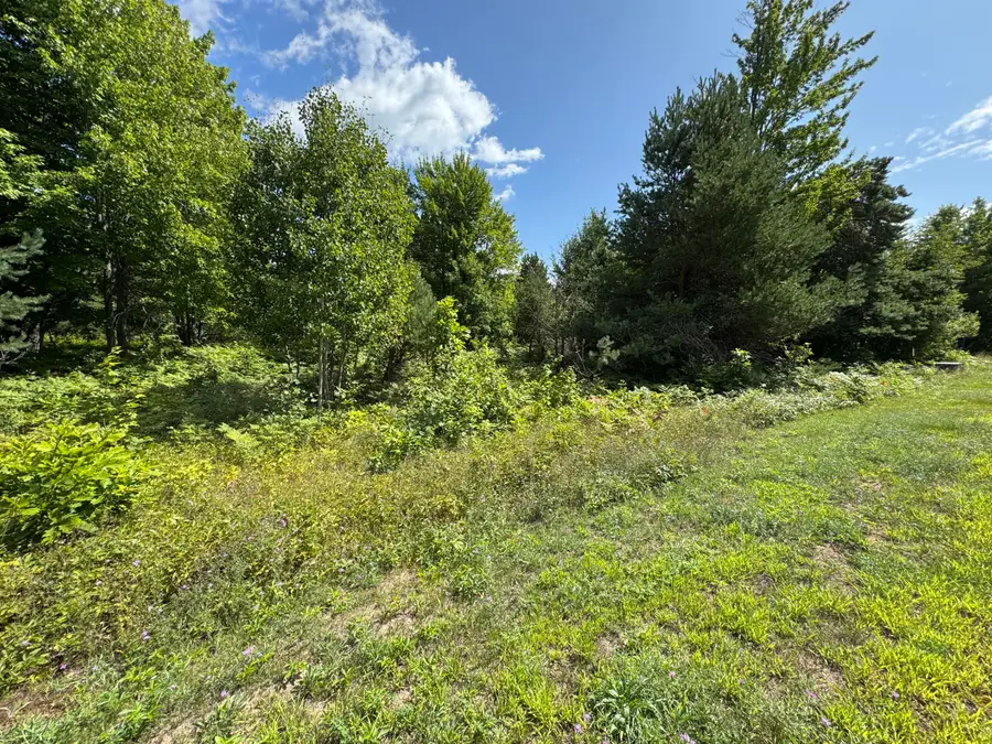 0 Daisys Way, Kinross, MI 49752 - #3