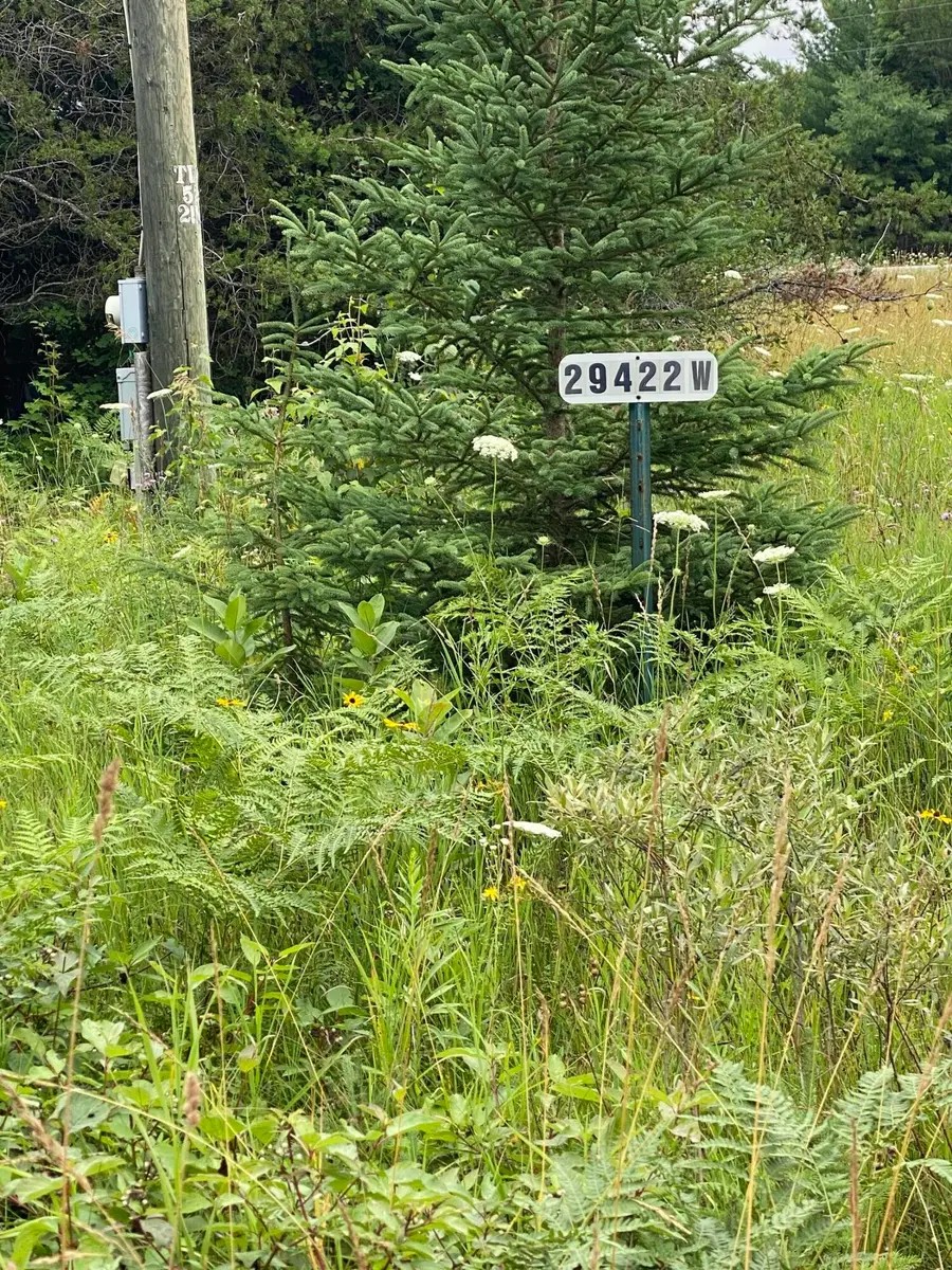 29422 W Huckleberry Lake Rd, Trout Lake, MI 49793 - #3