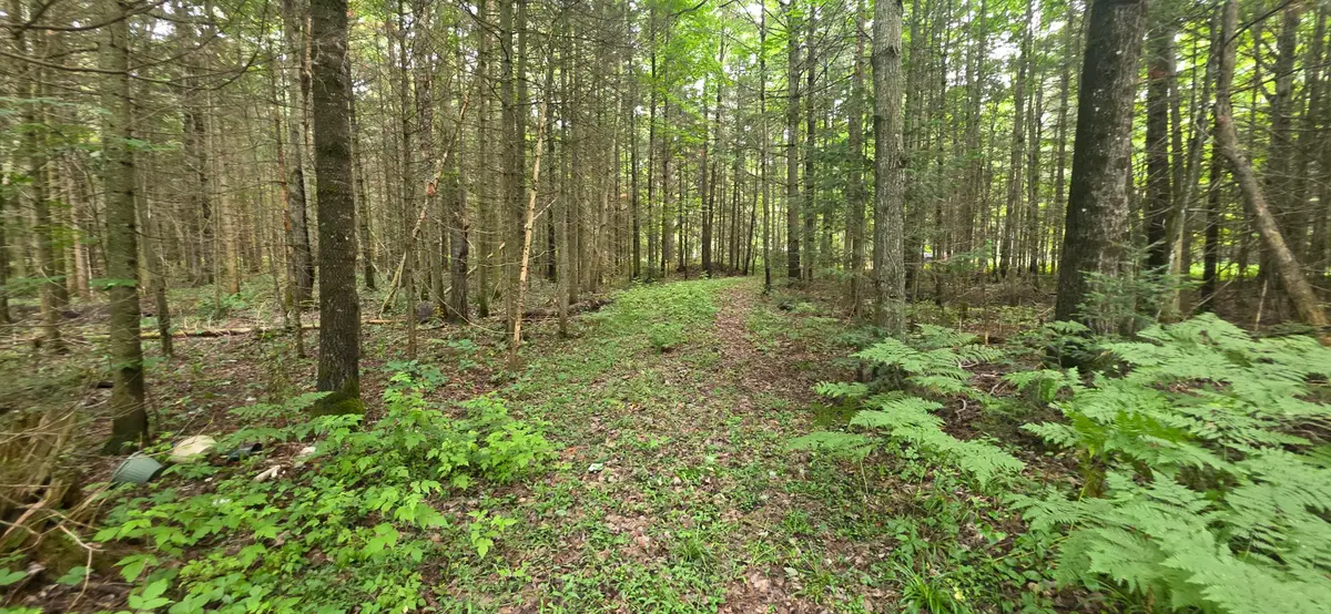 Lot 18 Lakeshore Dr, Sault Ste Marie, MI 49783 - #1