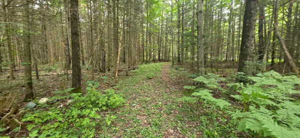 Lot 18 Lakeshore Dr, Sault Ste Marie, MI 49783