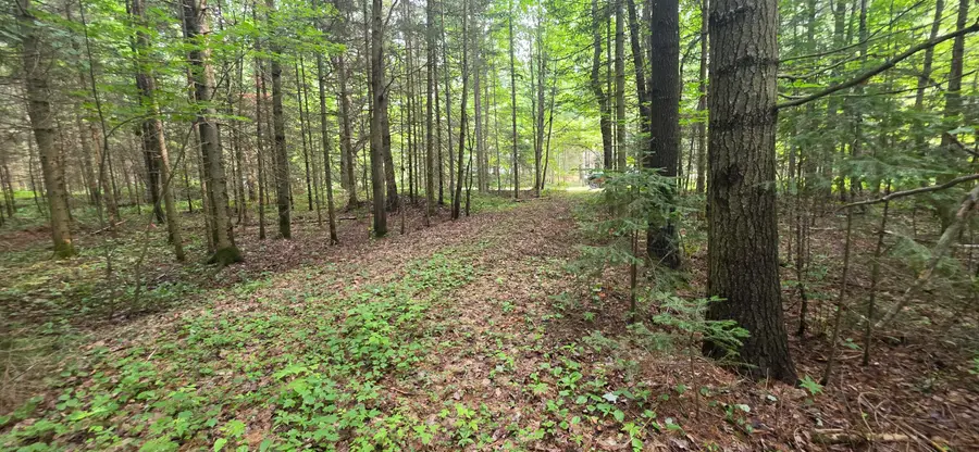 Lot 18 Lakeshore Dr, Sault Ste Marie, MI 49783 - #2