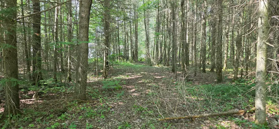 Lot 18 Lakeshore Dr, Sault Ste Marie, MI 49783 - #3
